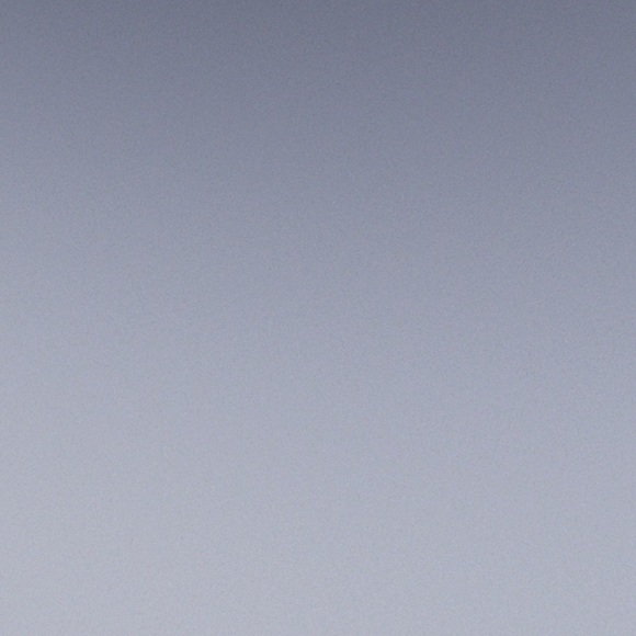 Meet your Posher, Jasmine - Picture 1 of 1